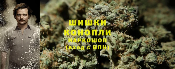 дурь Белокуриха