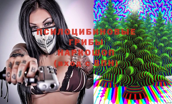 дурь Белокуриха