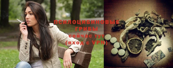 дурь Белокуриха