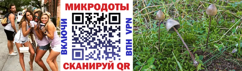 Галлюциногенные грибы мицелий  Купить где  Приволжский 